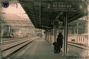 한국철도공사(코레일) 태백시 버리다.