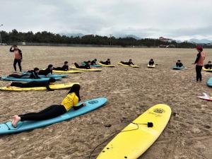 양양군 - 양양중학교, 지역과 함께하는 지역특화 서핑동아리 운영